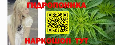 бутират Сланцы