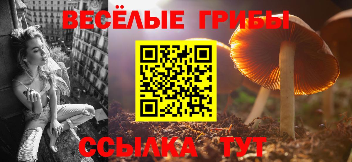 Галлюциногенные грибы прущие грибы  Вход с VPN  Новосибирск  Галлюциногенные грибы Cubensis 